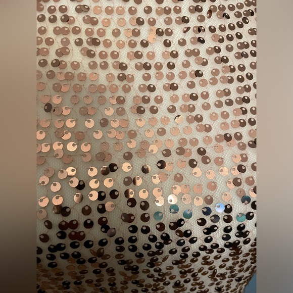 LIMITED Pink Sequin Sheer Sleeveless Blouse / Tunic - Size Small - Picture 14 of 16